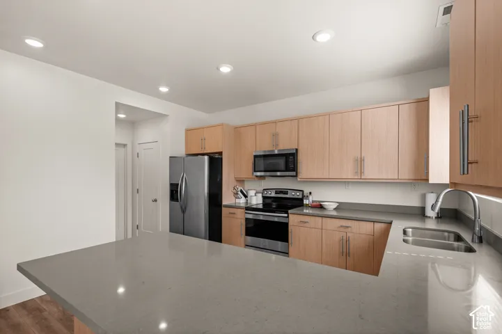 Wood-finish cabinetry, stainless steel appliances, recessed lighting, double basin sink, and wood-finish flooring