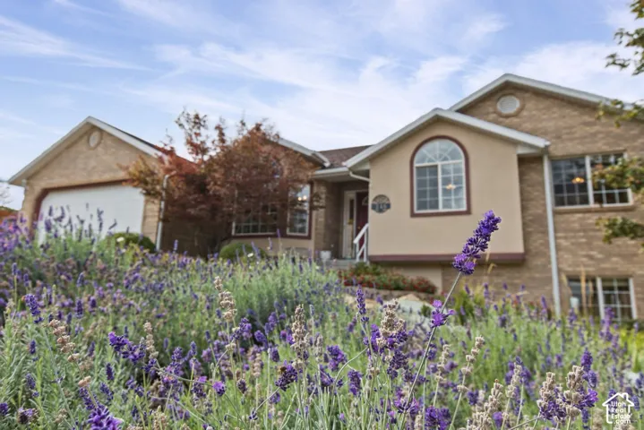 348 S Elk Ridge Dr, Elk Ridge, Utah 84651