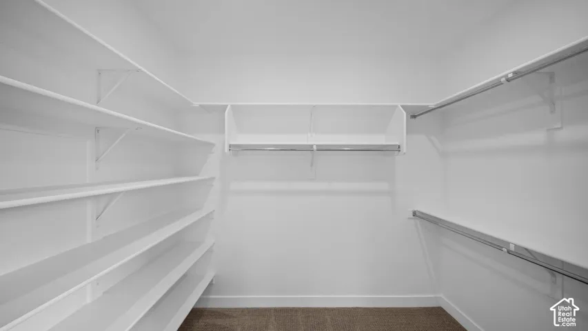 Walk-in closet with extensive built-in shelving, multiple hanging rods, white trim, and carpet flooring