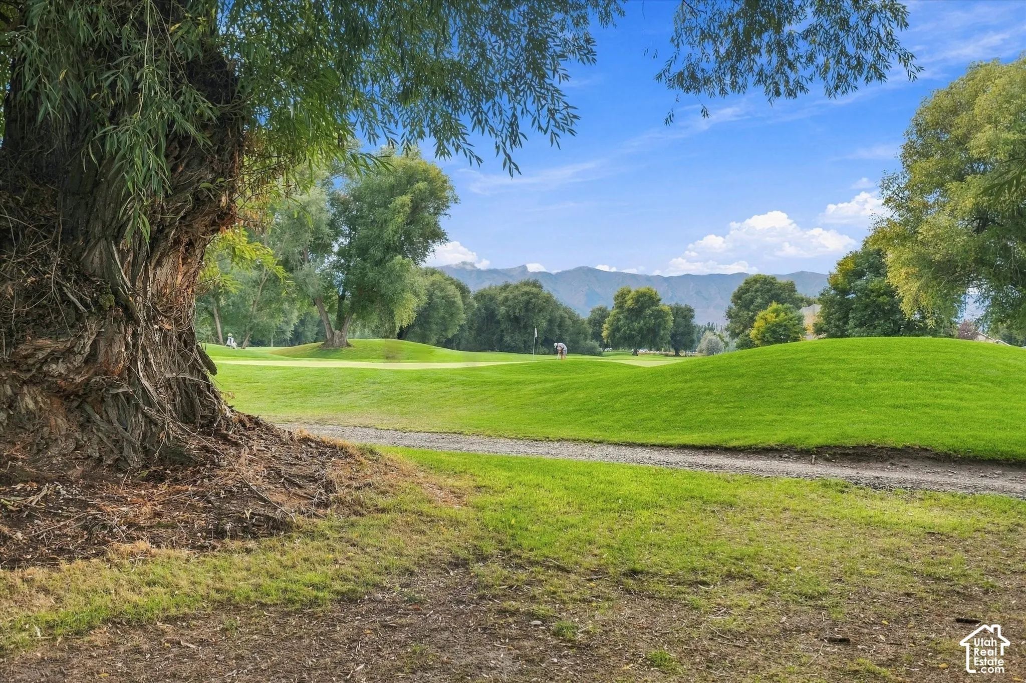 Expansive green golf course with manicured fairways and distant mountains