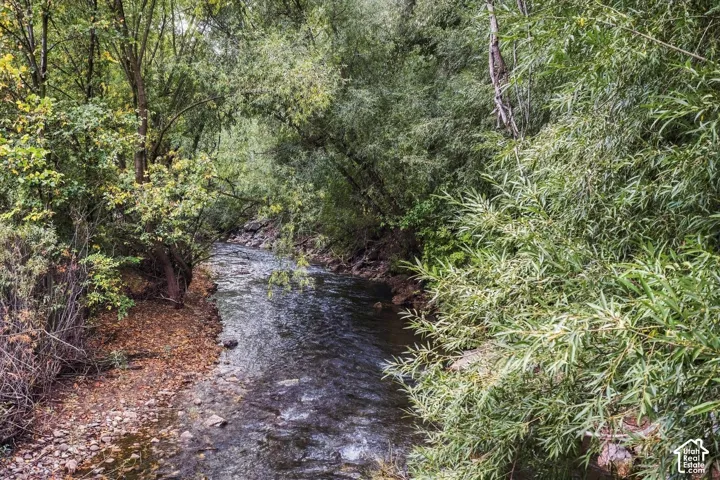 Natural water feature with surrounding mature trees and dense foliage