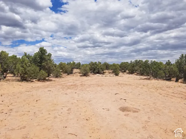 Expansive land parcel with natural terrain and scattered mature trees