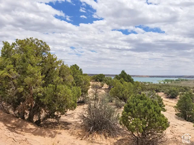 Expansive arid landscape featuring scattered evergreen trees and shrubs, another amazing view of Starvation Reservoir