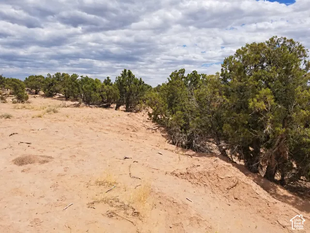 Expansive property featuring natural vegetation and varying topography