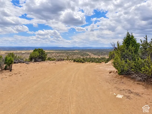 Expansive natural landscape featuring a dirt road, scattered green shrubs, and distant terrain under a wide sky