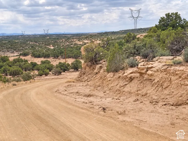 Curved dirt road with natural rock formations and abundant natural vegetation