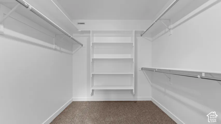 Integrated shelving unit, multiple clothing rods, and textured carpeting