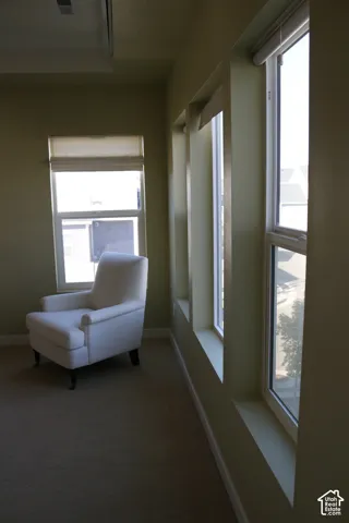 Multiple large windows, a single window, and light-colored walls