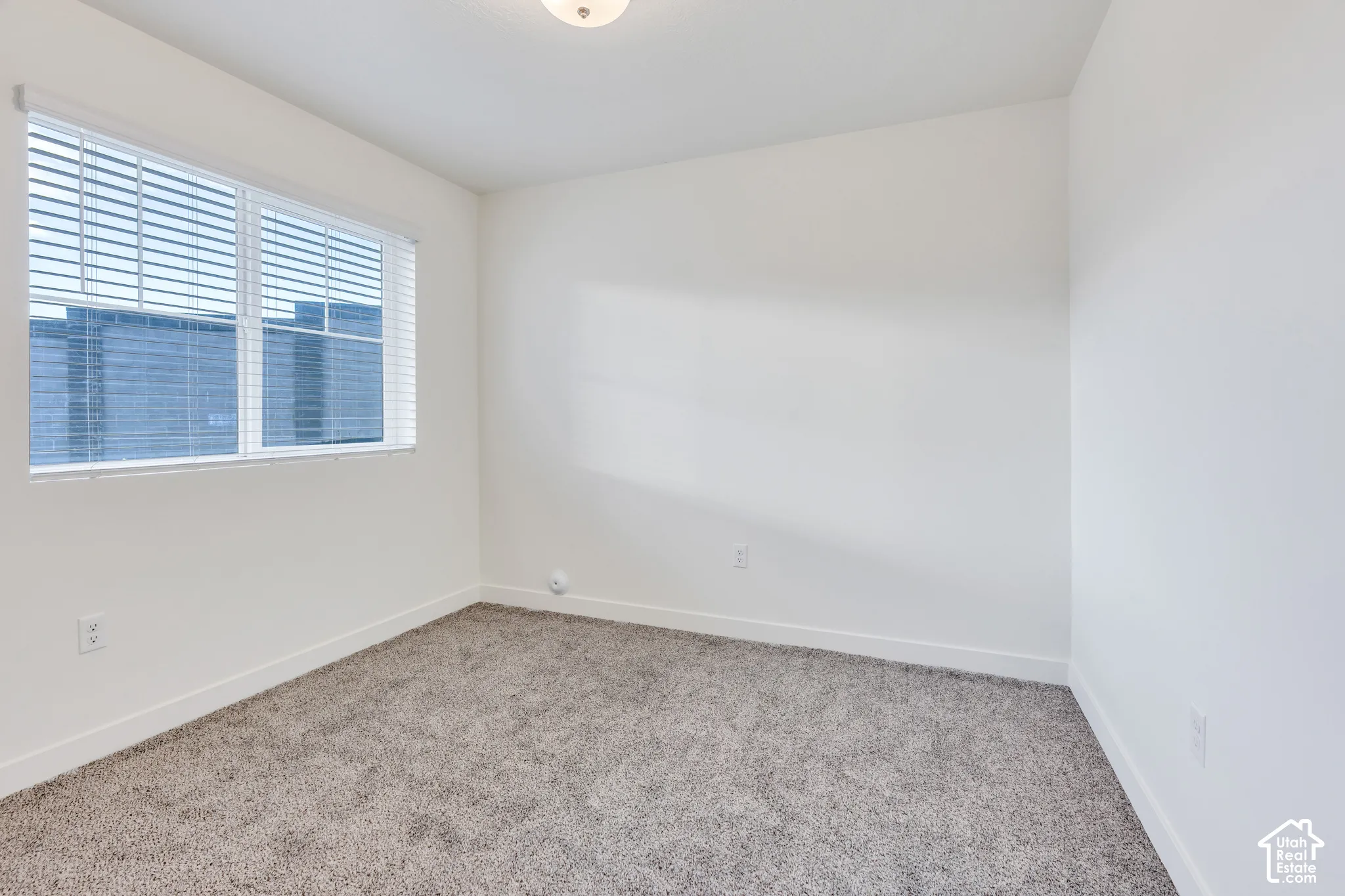 Neutral wall tones, window with horizontal blinds, overhead lighting fixture, and textured carpeting