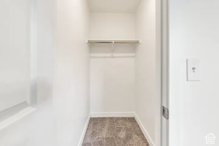 Built-in closet with carpet flooring and shelving system