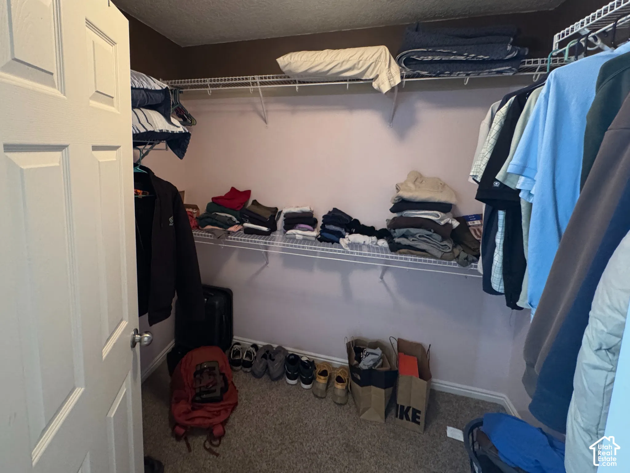 Primary Walk In Closet: Built-in wire shelving, overhead light fixture, and paneled door