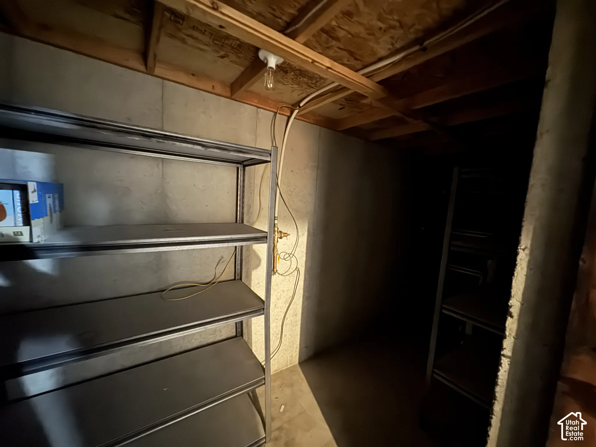 Under Front Porch Storage