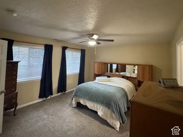 Primary Bedroom Carpeted flooring, multiple windows with blinds, ceiling fan with light fixture, and textured ceilings
