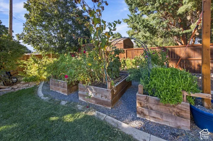 Expansive backyard featuring three raised wooden garden beds, a gravel pathway, a manicured lawn, and a privacy fence