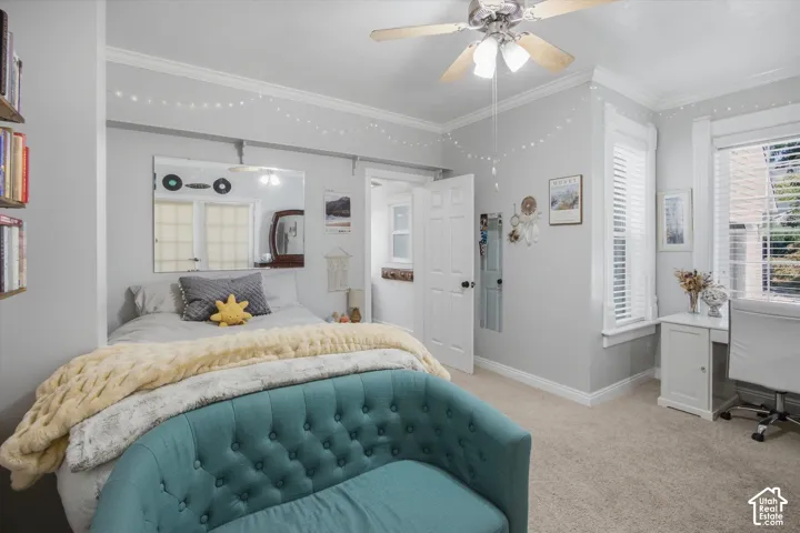 Ceiling fan with light fixture, carpeted flooring, white trim, crown molding, and a built-in shelving unit