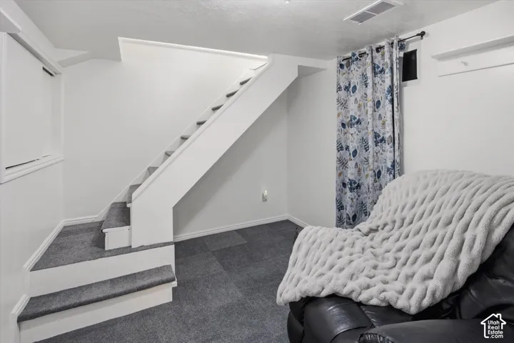 Carpeted staircase with white risers and stringers