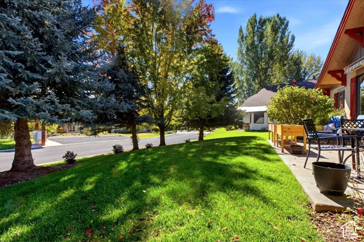 Backyard view featuring mature tress providing shade