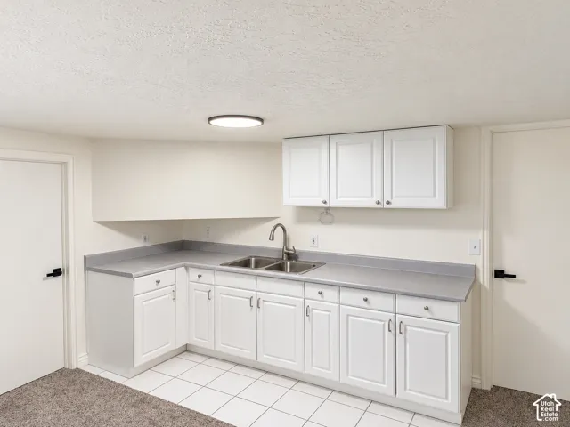 Functional kitchen area featuring white cabinetry, a dual basin stainless steel sink, and light gray countertops