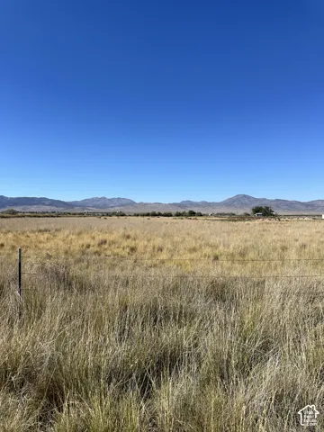 Expansive open land featuring natural grasses and distant mountains
