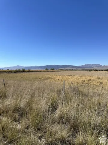 Expansive land featuring natural grasses, a clear sky, distant mountains, and a wire fence