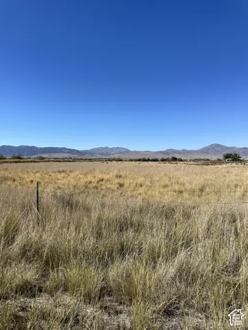 Expansive open land with natural grasses, a wire fence, and a distant mountain range