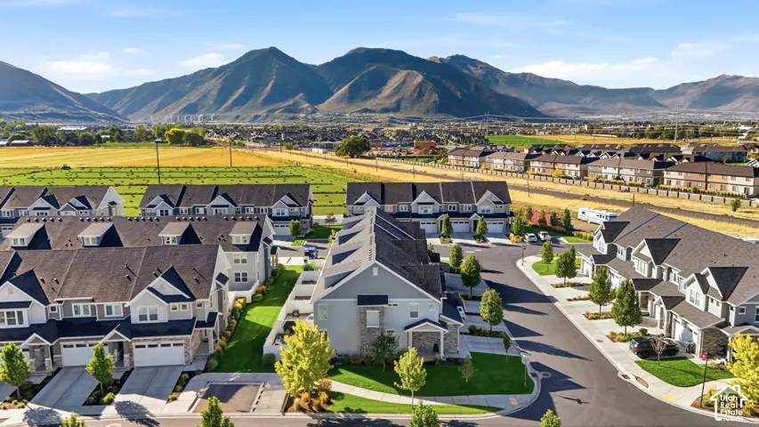 Contemporary townhome community with varied architectural designs, mature landscaping, and paved streets