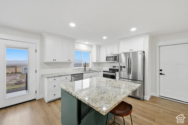 Contemporary kitchen featuring white cabinetry, stainless steel appliances, a center island with a speckled countertop, recessed lighting, and wood-finish flooring