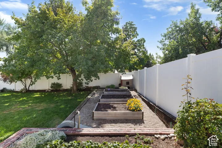 Backyard featuring multiple raised garden beds, mature trees, a white privacy fence, and a manicured lawn