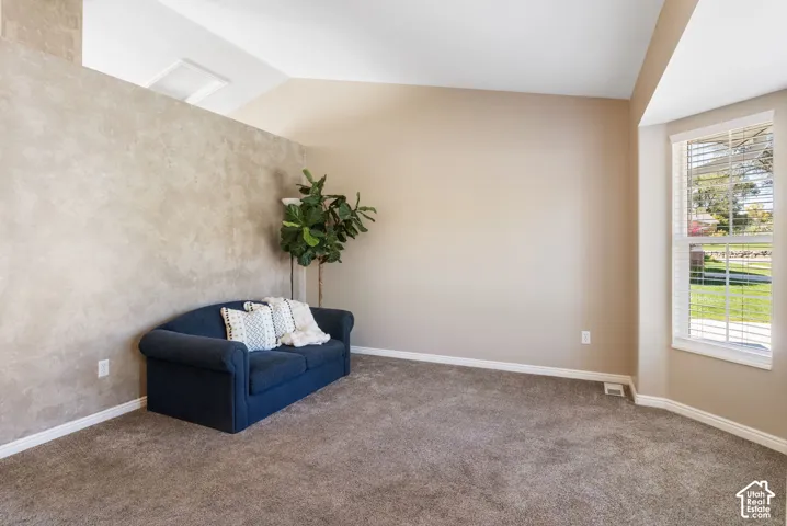 Vaulted ceiling with a skylight, textured accent wall, light tan painted walls, and a bay window with blinds