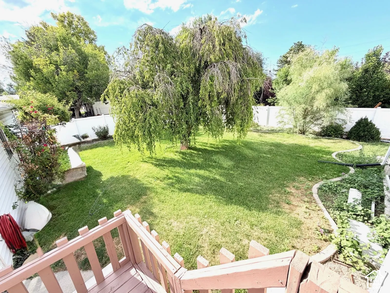 Expansive backyard featuring a manicured lawn, established trees, and white privacy fencing