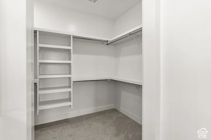 Walk-in closet with carpet flooring, built-in shelving, and hanging rods