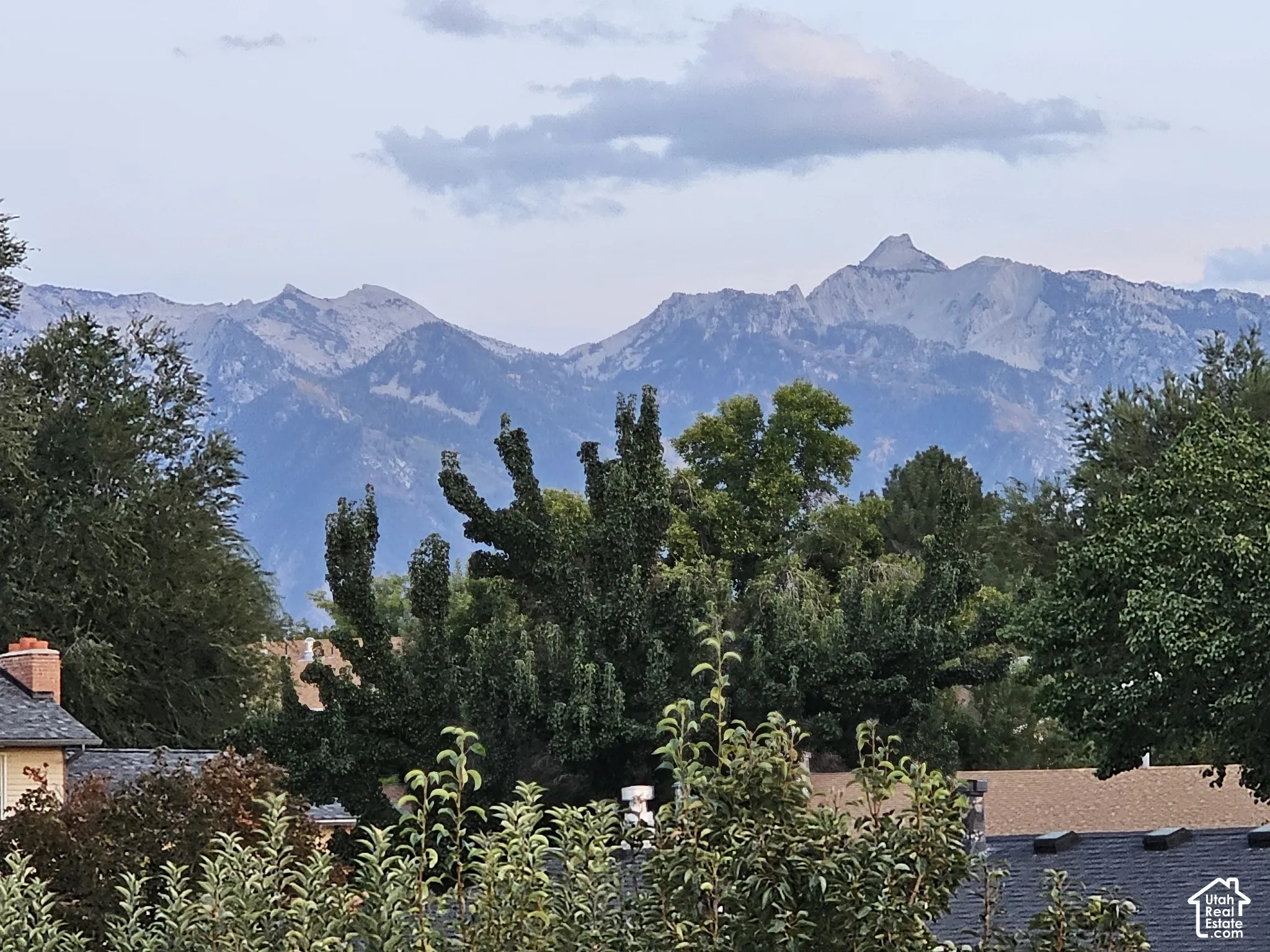View from the deck looking south-east