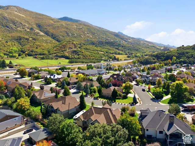Residential neighborhood featuring varied architectural styles and mature landscaping, framed by expansive hillsides