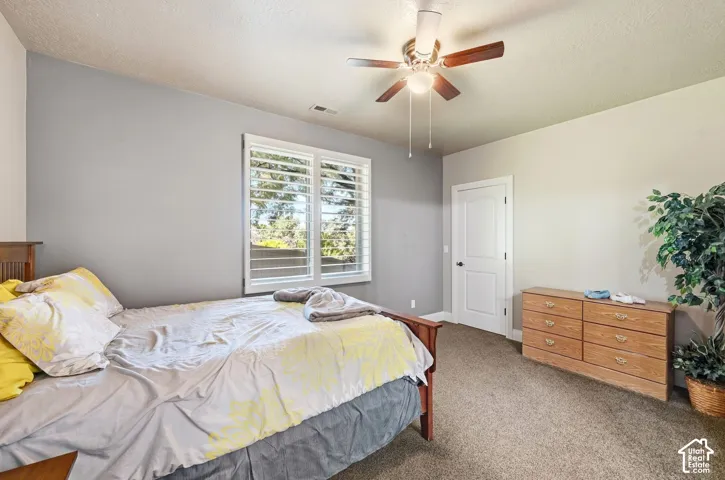 Window with louvered shutters and ample natural light