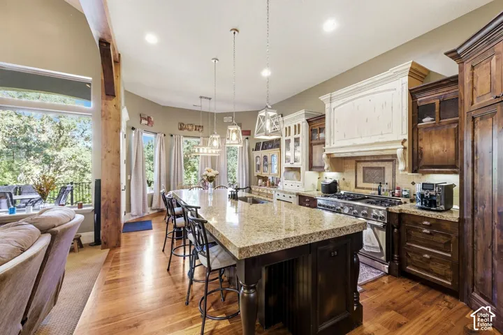 Gourmet kitchen featuring a large central island with seating, stainless steel appliances, wood-finish flooring, and a decorative range hood
