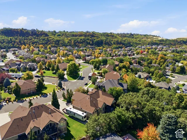 Residential streetscape with established homes and mature landscaping