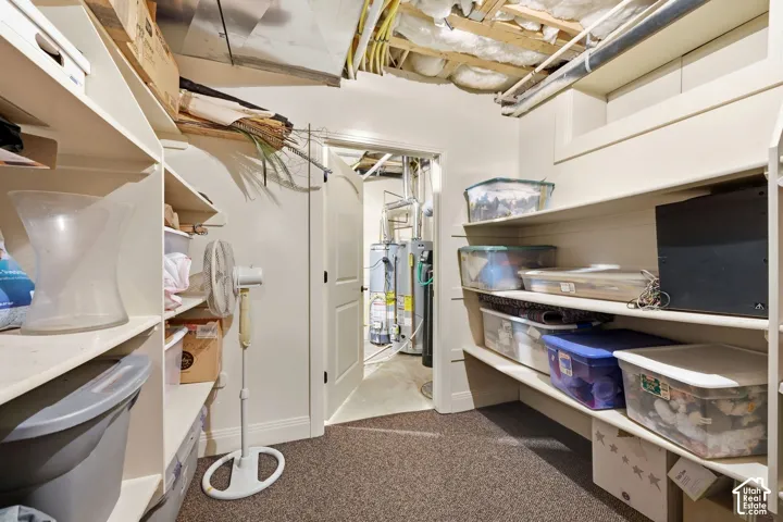 Built-in shelving units, carpeting, interior door