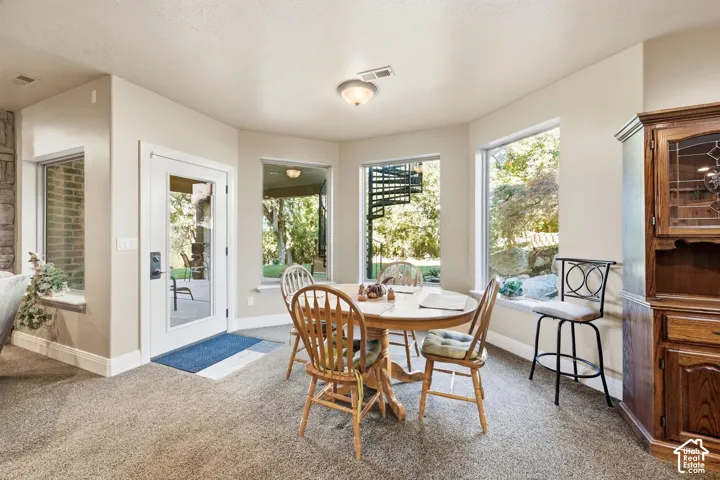 Spacious room featuring carpeting, multiple large windows, and a glass-paneled door