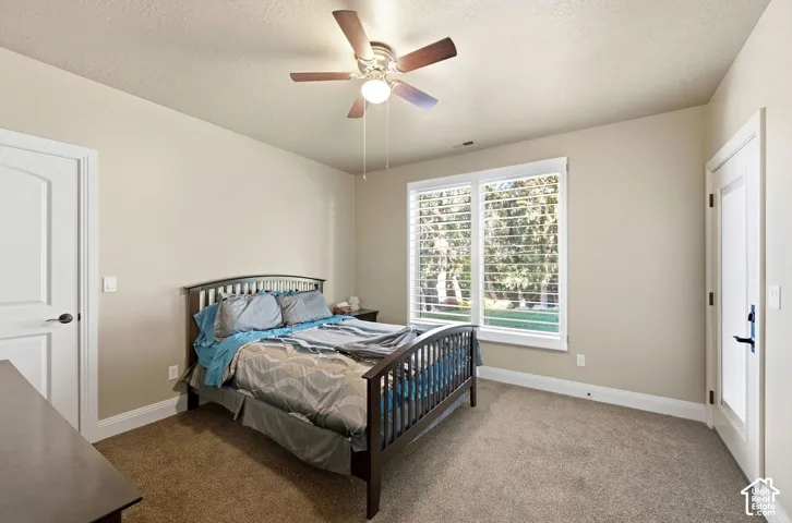 Carpeted room with a ceiling fan, dual windows featuring plantation shutters, and light-toned walls