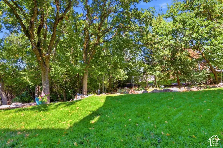 Expansive grassy lawn with mature trees and natural rock landscaping