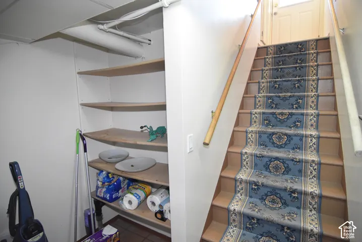 Staircase featuring wood handrails and carpeted treads, leading to downstairs from back entry of house.  Door to kitchen from back entry is at the top of the stairs.