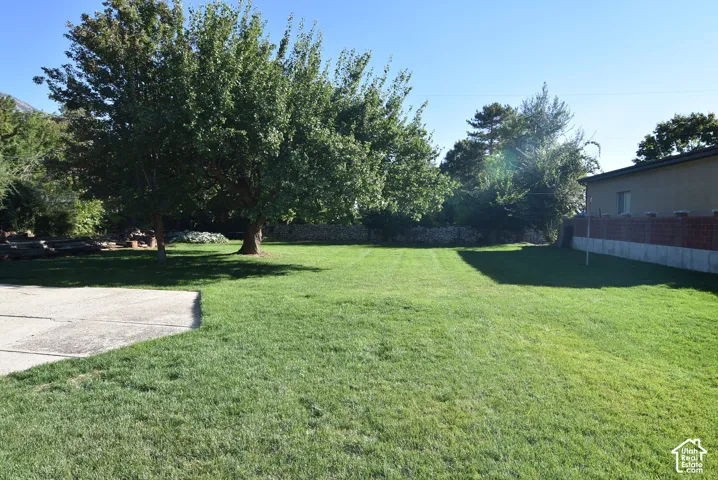 WOW, WHAT A YARD!  Expansive green lawn with mature trees and a concrete paved area