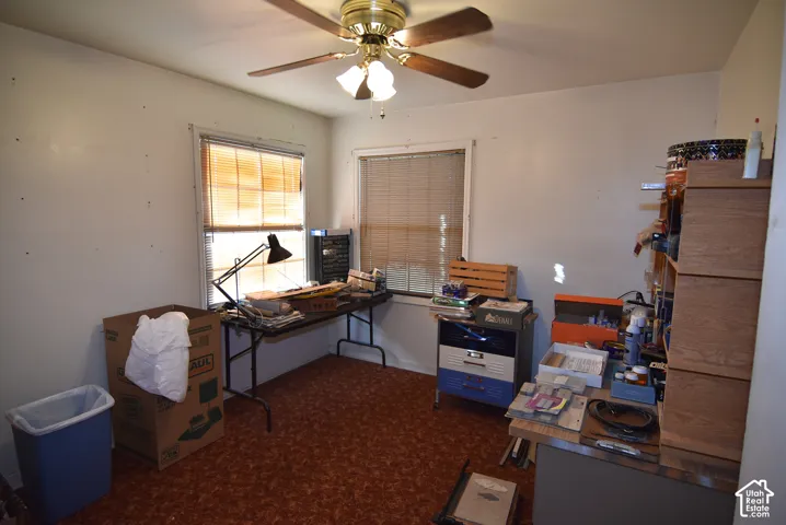 Bedroom #3 on main level with 2 windows and ceiling fan/light combo.