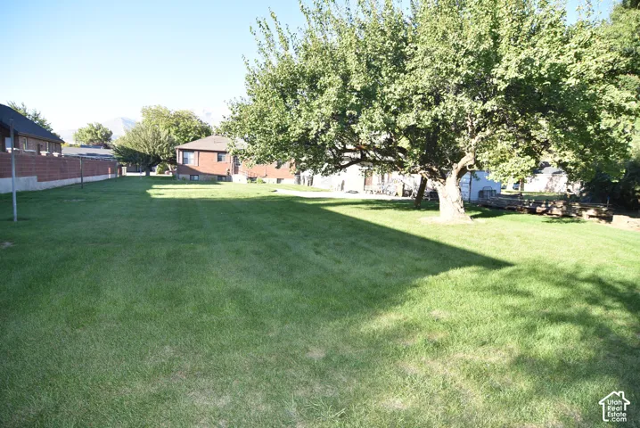 Again, what a yard.  Great place to relax or for playing all sorts of sports.
