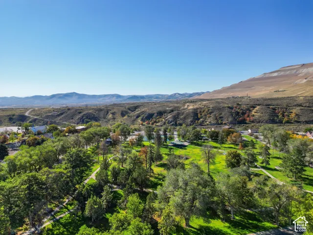 Expansive green spaces featuring mature trees and paved walking paths, set against a backdrop of distant mountains