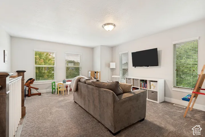 Carpeted living area with multiple windows