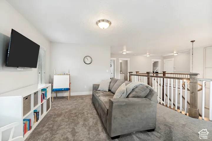 Carpeted loft area featuring a mounted television, built-in shelving, and wood-finish railing with white balusters