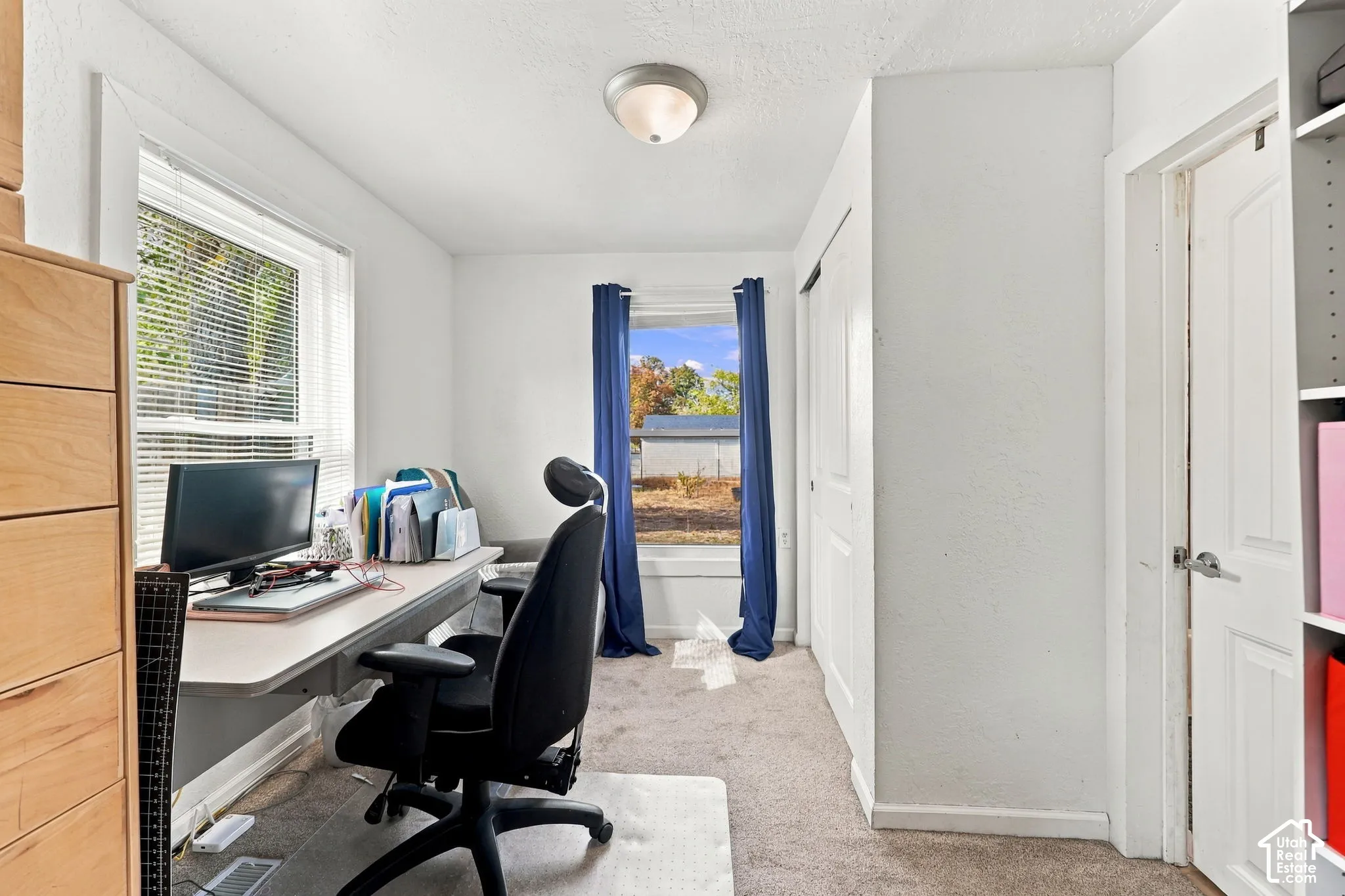Carpeted room featuring multiple windows with blinds, a flush mount ceiling light, and a white paneled door