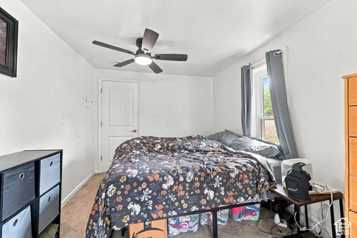 White painted walls with a textured finish, a ceiling fan with integrated lighting, a paneled door, and carpeted flooring