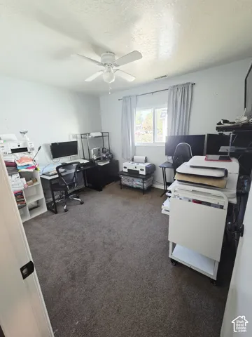 Textured carpet flooring, ceiling fan with integrated lighting, and a double-pane window